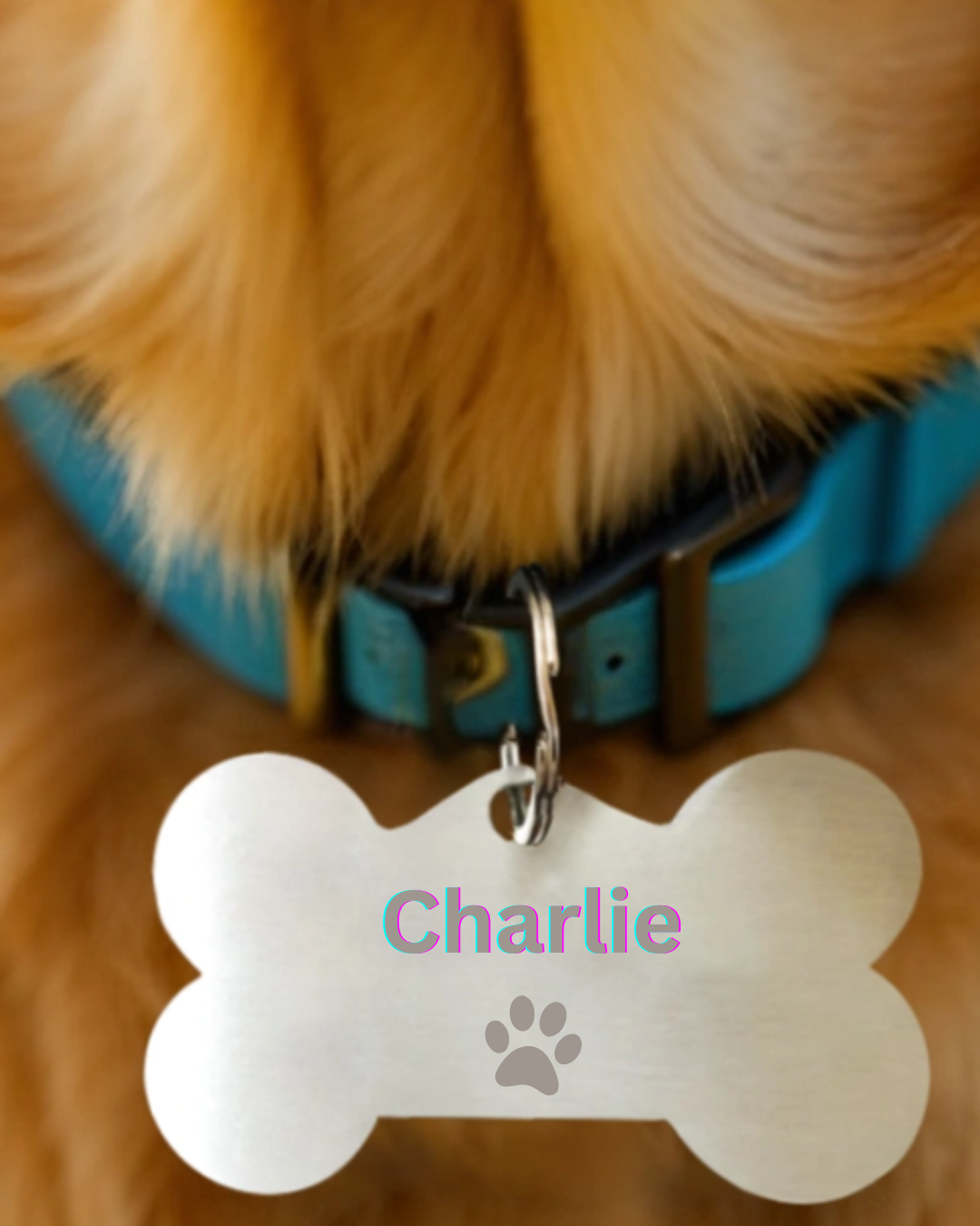 Pet Tag with Customized Name