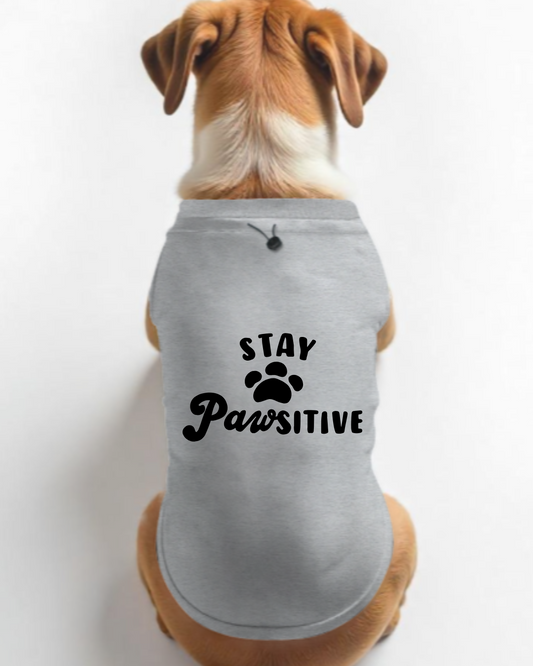 Stay Postive Dog T-shirt
