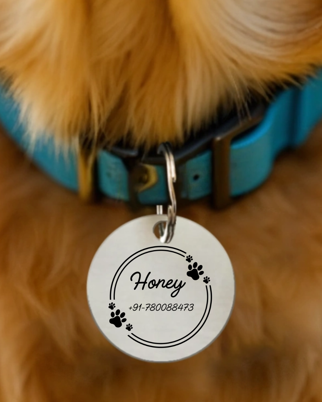 Pet Tag with Customized Name
