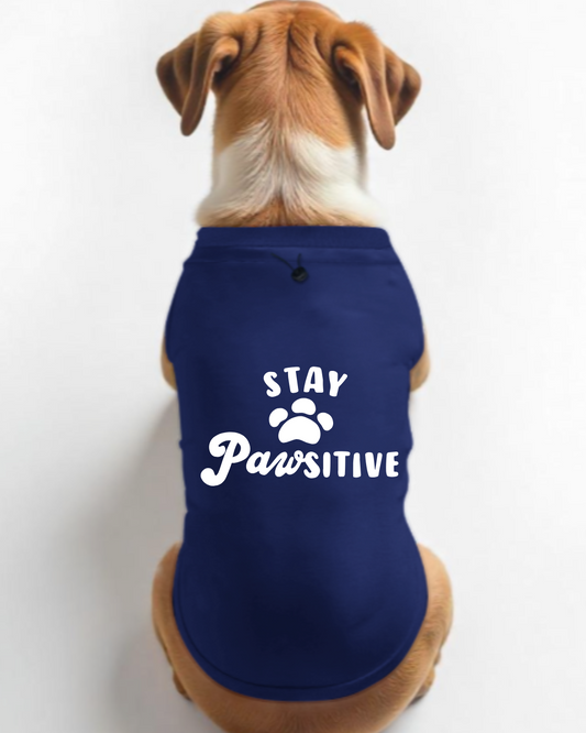 Stay Pawsitive Dog T-shirt