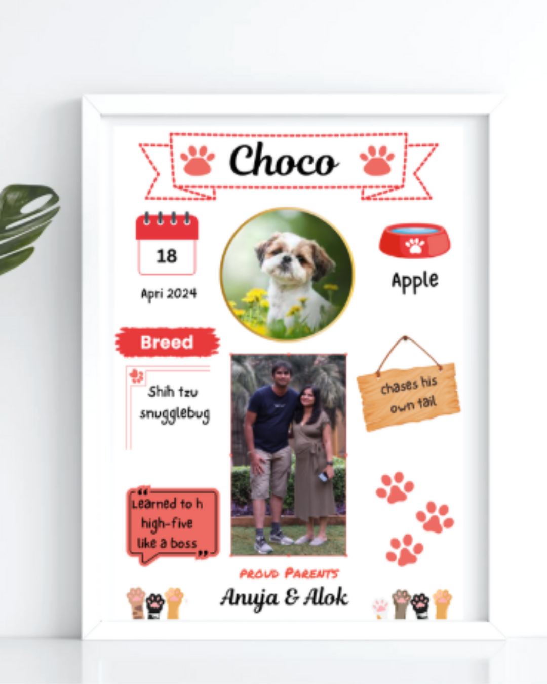 Pet Memory Frame with red paws